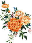 手绘花卉