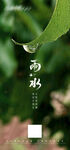 雨水节气海报