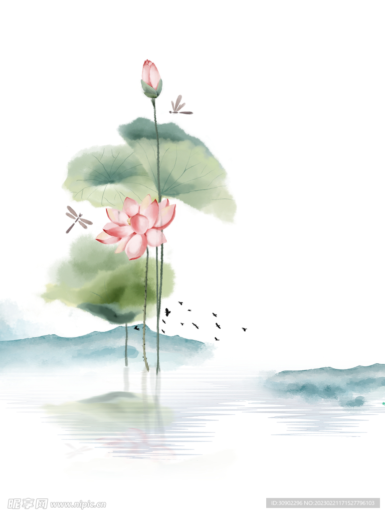 荷花