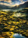 夕阳风景