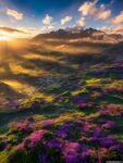 夕阳风景