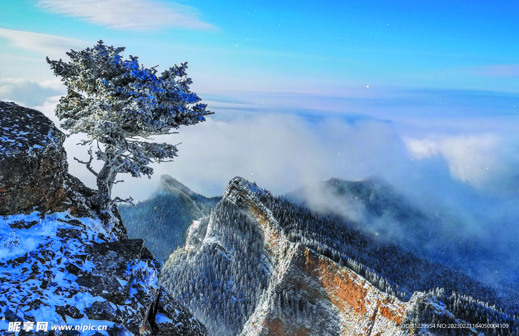 贺兰山 