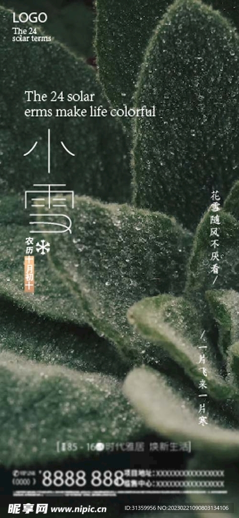 二十四节气之小雪设计版面参考