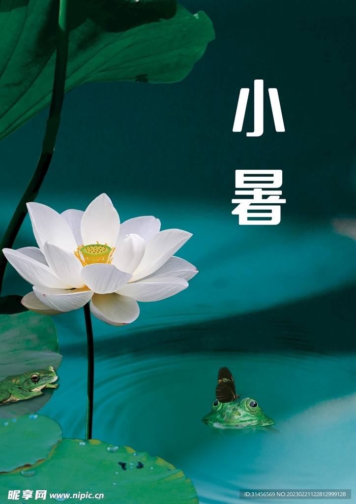 小暑