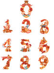 数字