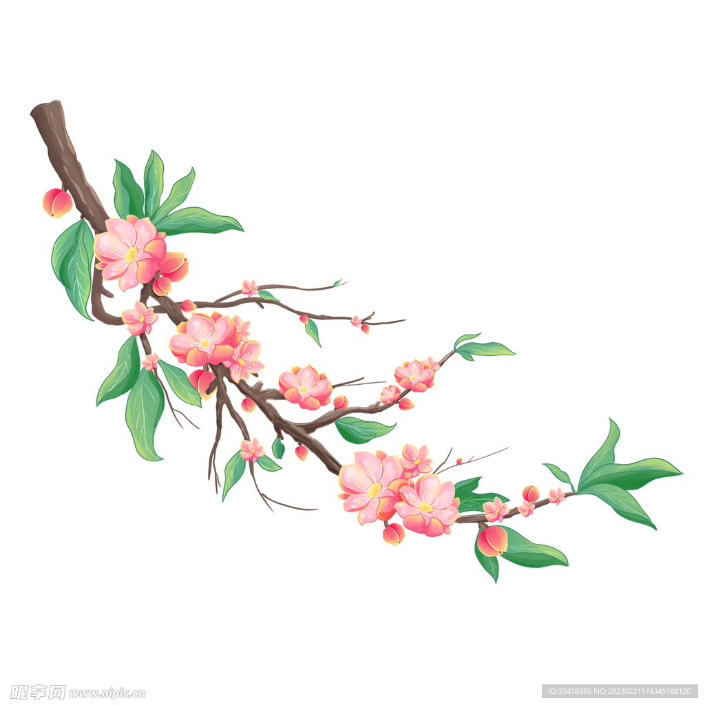 桃花