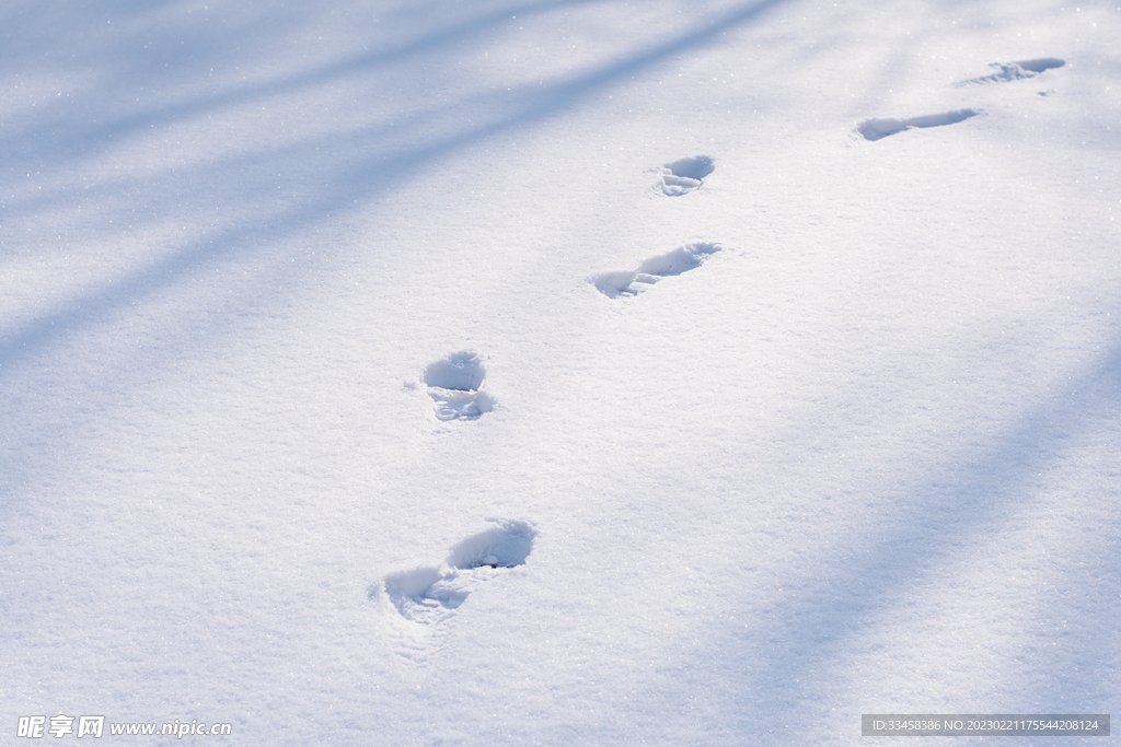雪地脚印