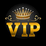 VIP图标