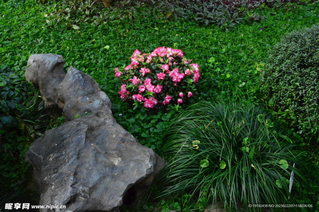 温室花草风景  