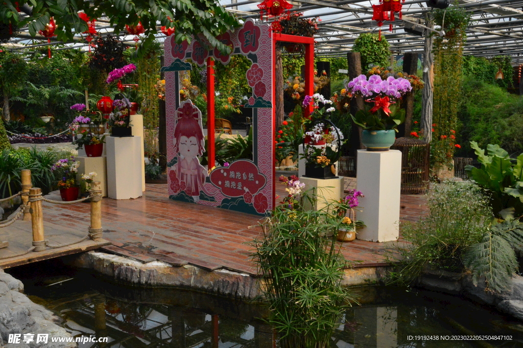 温室花草风景 