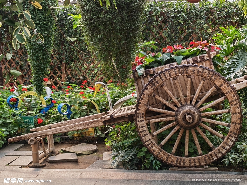 温室花草风景 