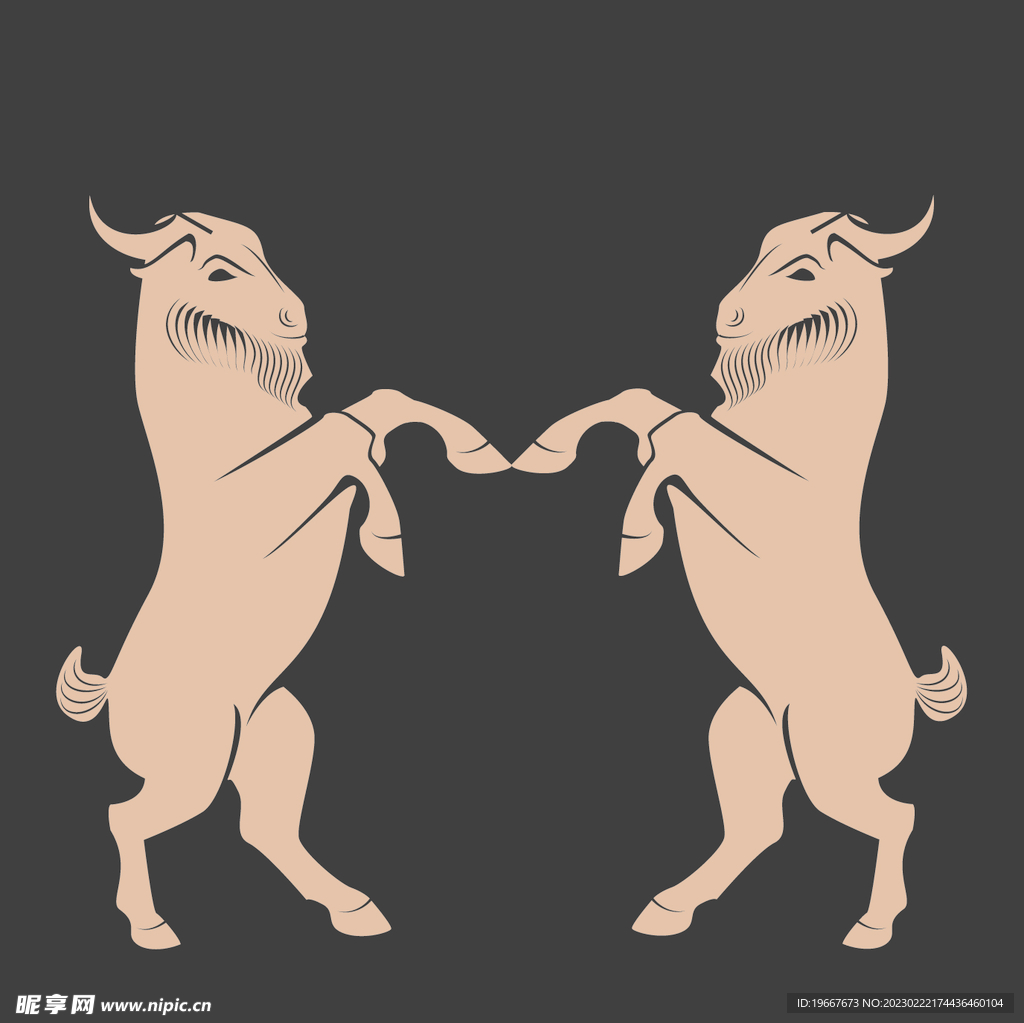 动物 