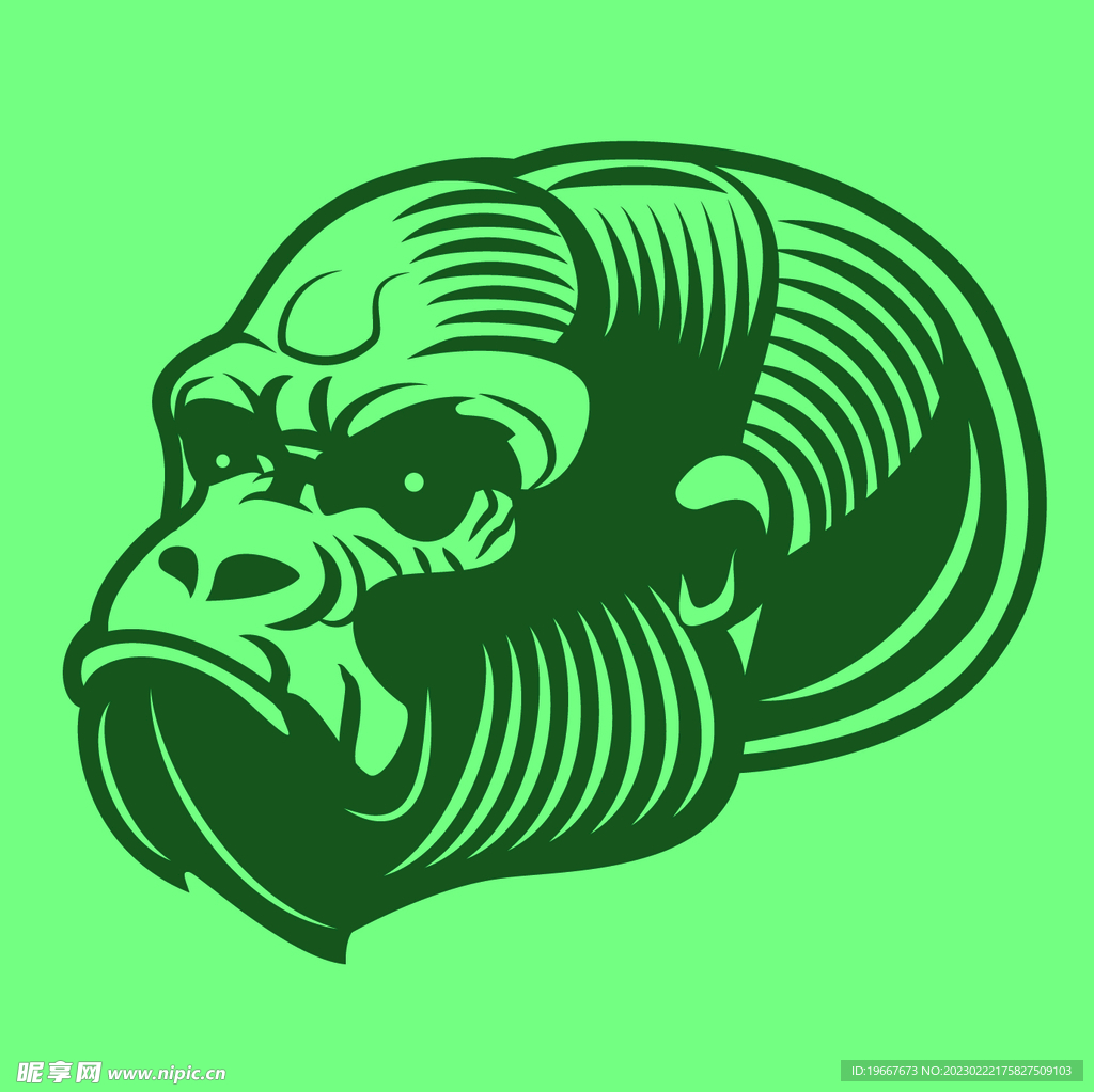 动物  