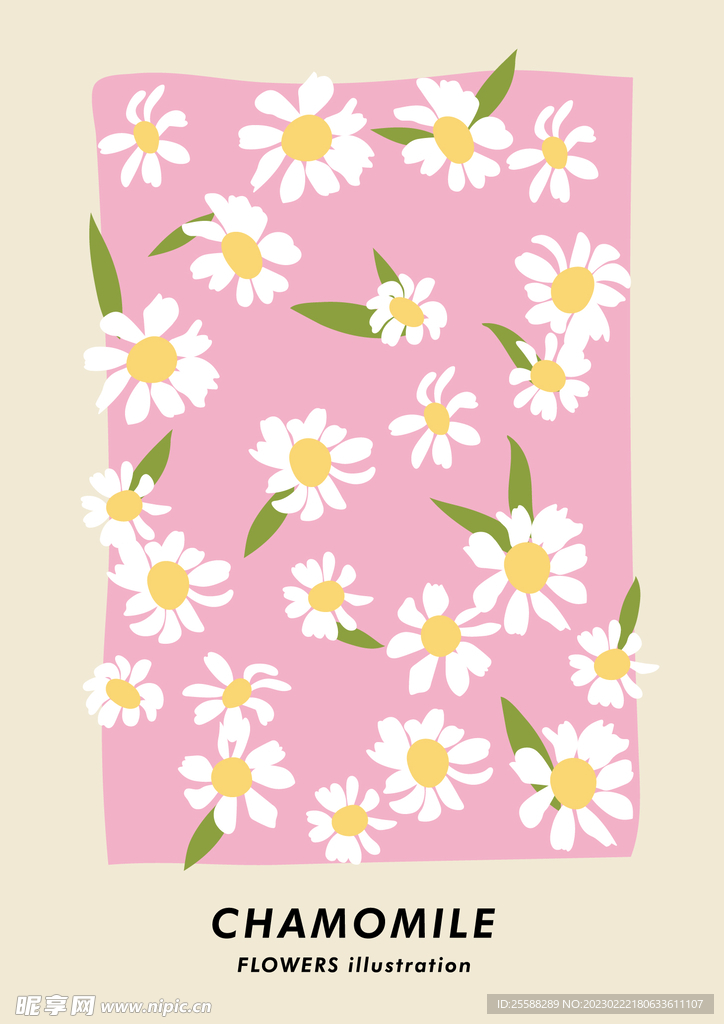 雏菊