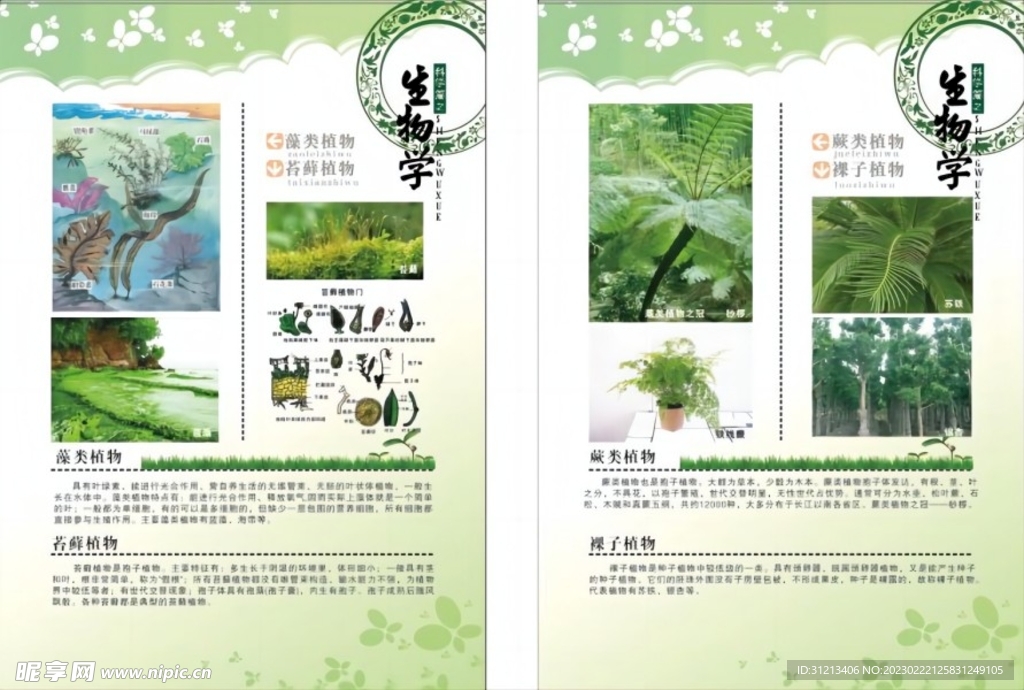 生物知识展板图片