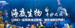 海洋生物