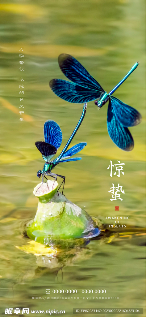 惊蛰