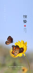 惊蛰