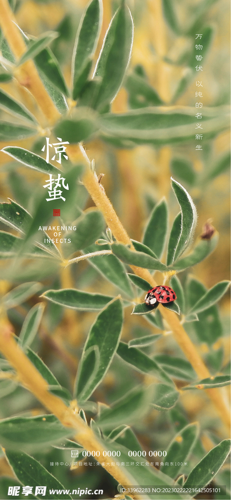 惊蛰