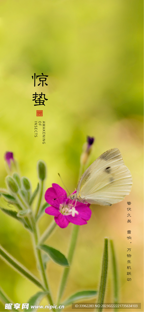惊蛰