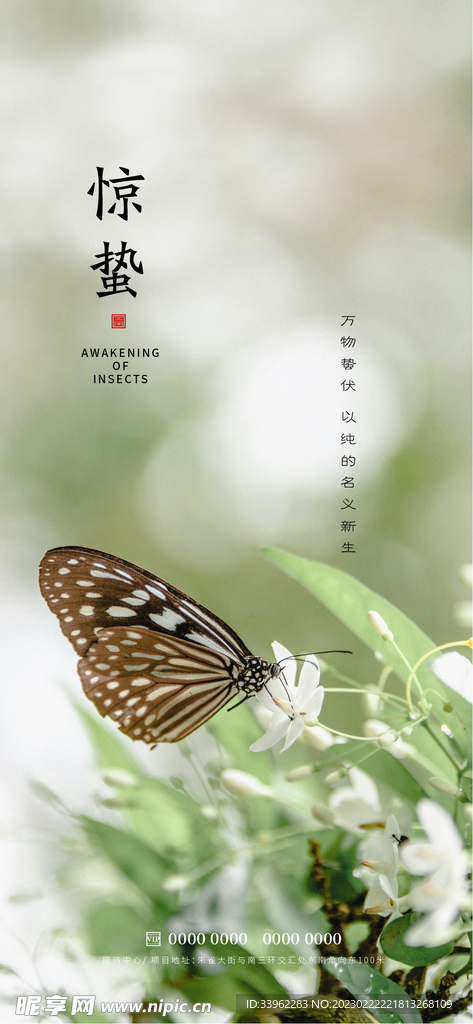 惊蛰