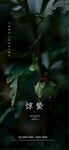 惊蛰