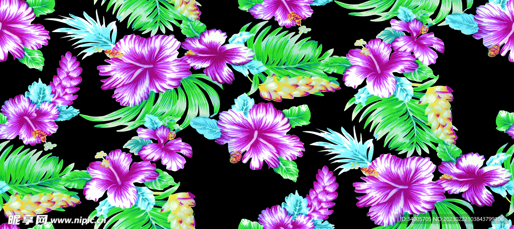 扶桑花