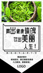 茶叶吊旗 茶海报