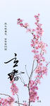 立春