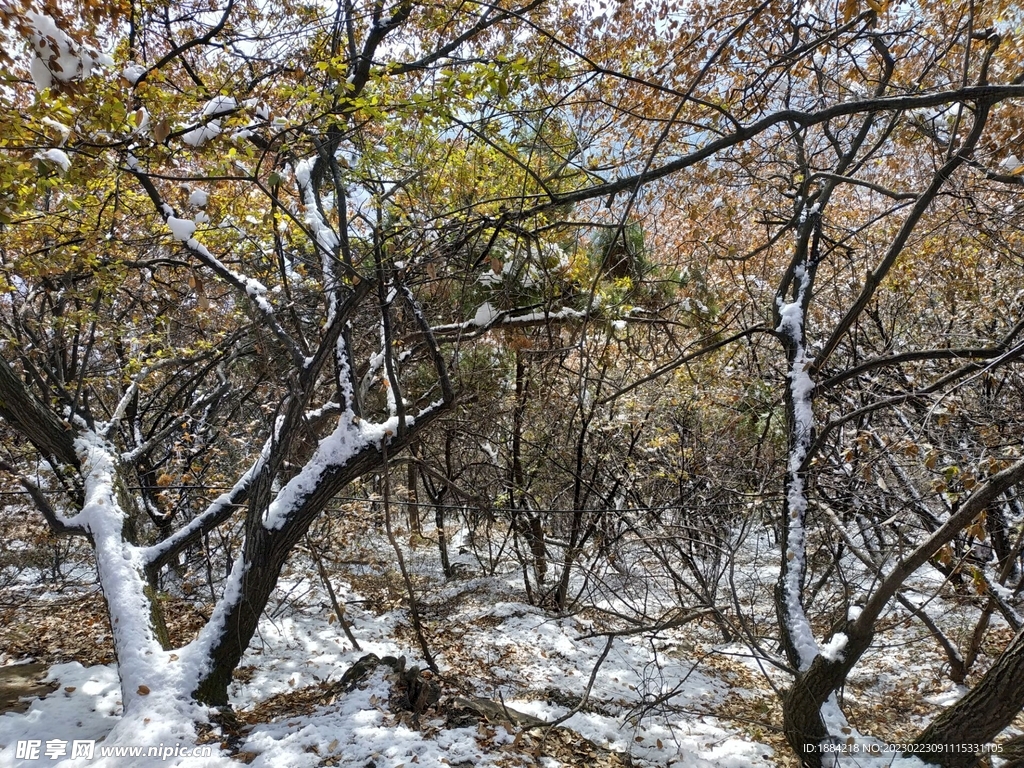 山西云丘山雪景