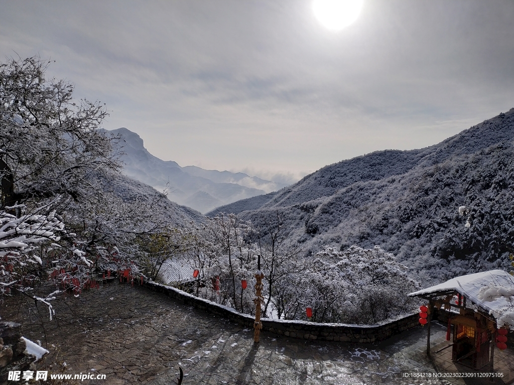 雪后的早晨