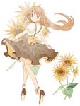 美女   太阳花 