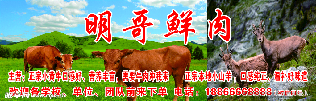 牛羊