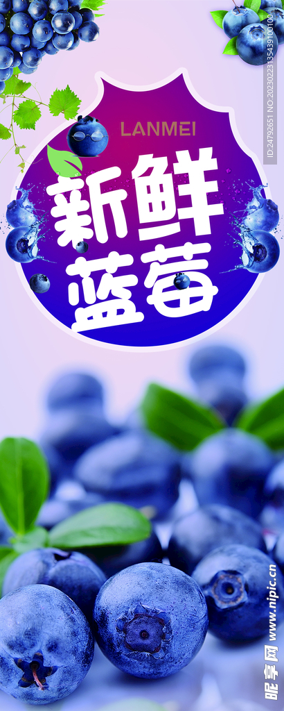 蓝莓海报