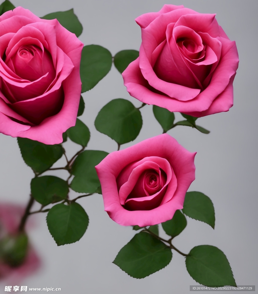 花