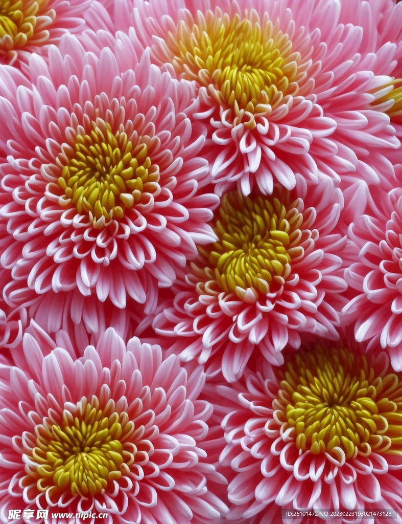 花