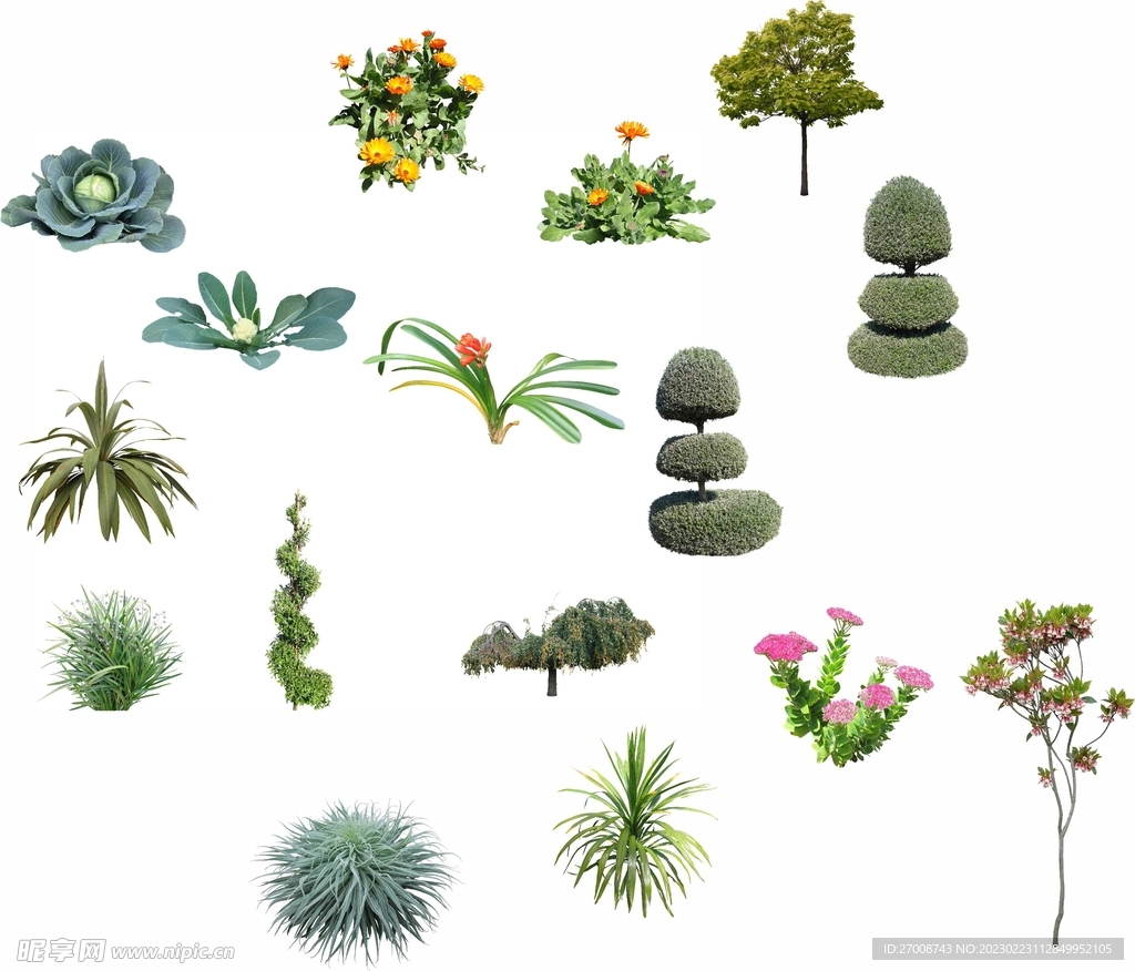 免抠图 非矢量图 PNG 植物