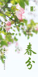 春分