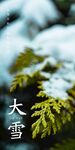 大雪