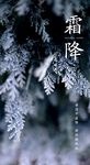 霜降