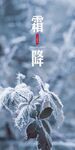 霜降