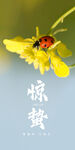 惊蛰