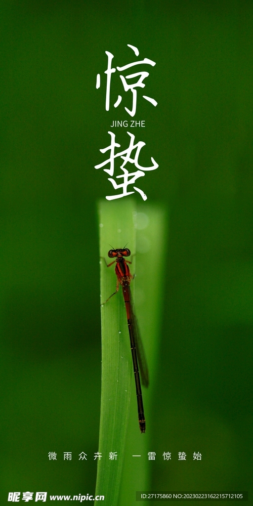 惊蛰