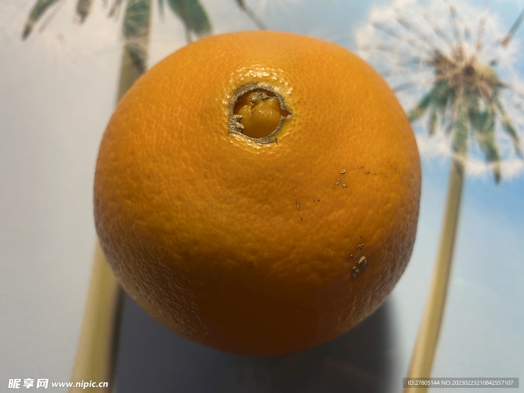 脐橙水果
