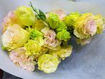 鲜花洋甘菊