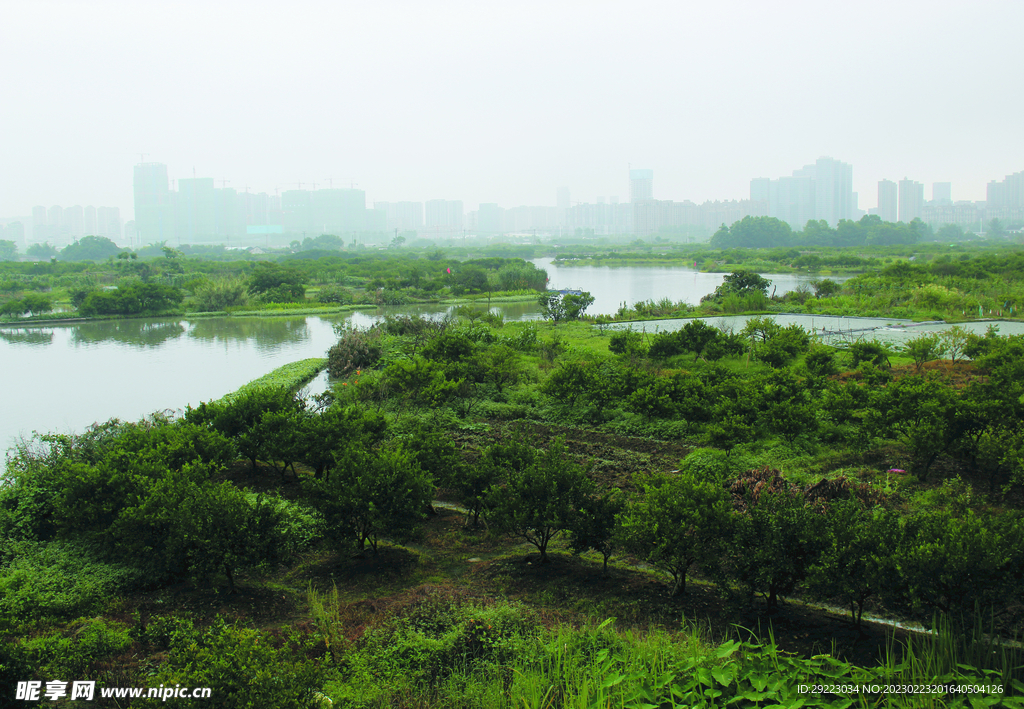 风景  