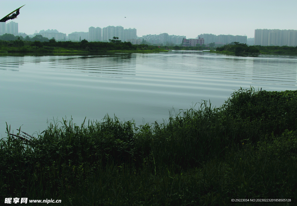 风景