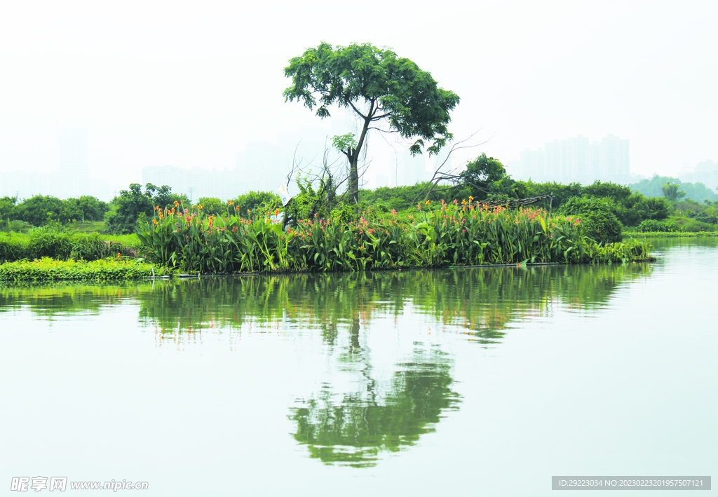 风景 