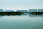 风景  