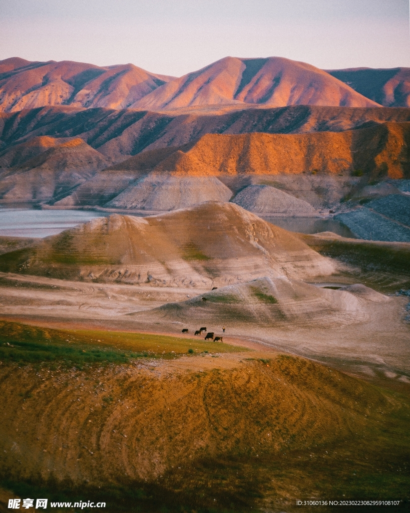 山